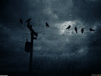Rainy Day Wallpaper Open Walls