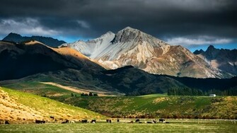 New Zealand Landscape Mountain Sky Clouds Pasture Herd Wallpaper Jpg