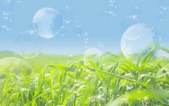 High Definition Summer Sunshine Desktop Background Wide Wallpaper