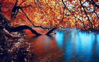 Wallpaper Late Autumn Seasonal Lake S Photography
