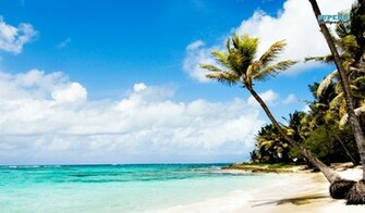 Caribbean Window Theme