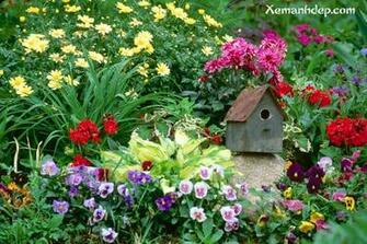Funny Wallpaper HD Beautiful Flower Garden