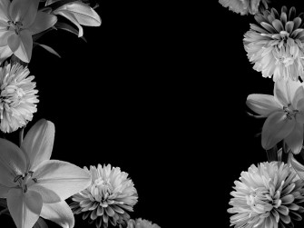 Black Flower Wallpaper Group