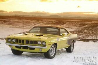 Barracuda Wallpaper Image Galleries Imagekb