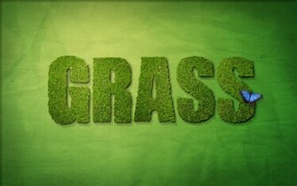 Green Butterfly Wallpaper Design Grass
