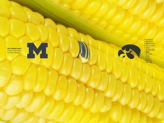 Search Iowa Hawkeyes iPhone HD Wallpaper Sport