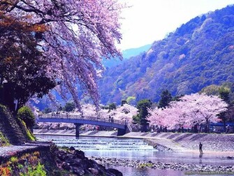 Home Nature Landscapes Spring Wallpaper