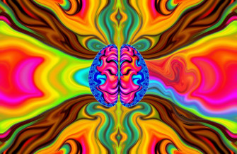 Left Brain Right Wallpaper