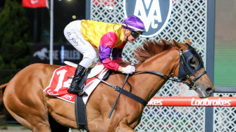 Jamie Kah Champion Jockey In Action Wallpaper