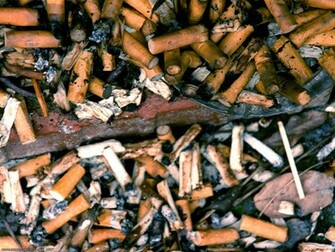Anti Smoking Day Wallpaper Windows Desktop Themes