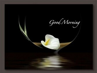 Good Morning Wallpaper Mobile