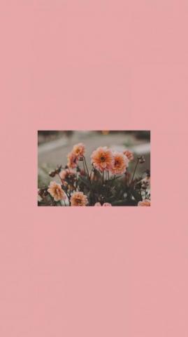 Tumbler Wallpaper Cutewallpaper Dayi