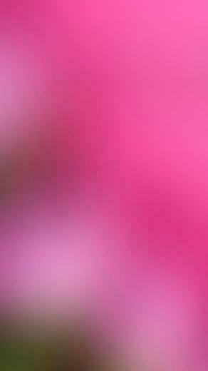 Simple iPhone Wallpaper HD