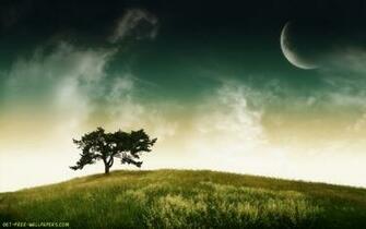 Lonely Tree Wallpaper