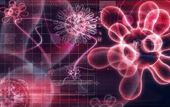 Virus Wallpaper Desktop