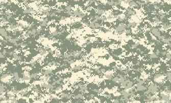 Digicamo Background On