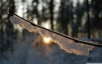 Warm Winter Sun HD Desktop Wallpaper High Definition Fullscreen