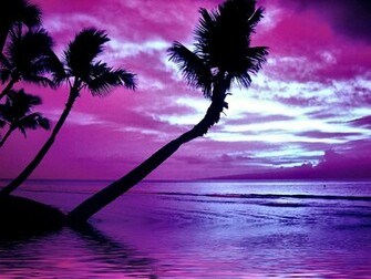 Purple Haze By Puddlz