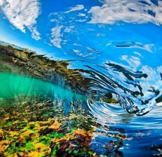 Reef Reflecting Off Of The Water Photographer Is Clark Little Pics