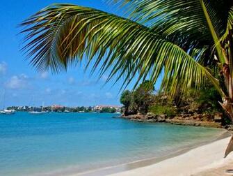 Grenada Nature HD Wallpaper Wallpaper13