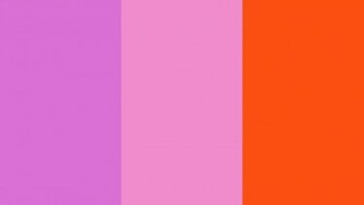 Orchid Pink And Orioles Orange Solid Three Color Background