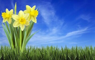 Wallpapertop Wallpaper Nature Sp Llpapers Spring