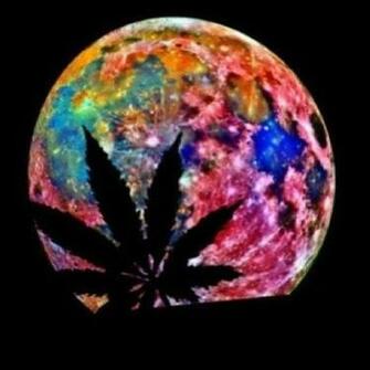 Pin Trippy Pot Leaf Wallpaper Background Theme Desktop