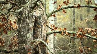 Camouflage Background