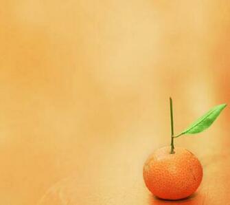 Orange Android Wallpaper Mobile Phone Pictures