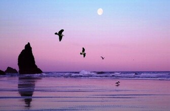 Cannon Beach Background Themes