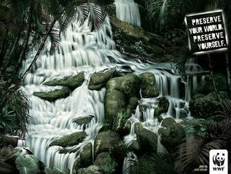 Wildlife Fund Sadness World Wallpaper
