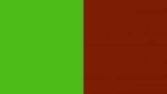 Resolution Kelly Green And Kenyan Copper Solid Two