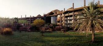 Animal Kingdom Villas Deluxe
