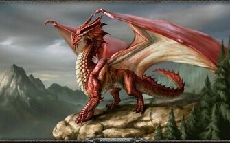 Red Dragon Wallpaper Background