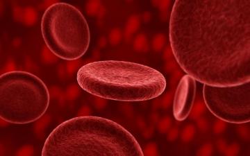 Bcop Updates Checkpoint Inhibitors In Hematologic Therapies