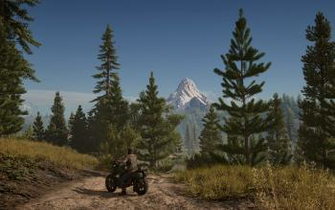Days Gone HD Wallpaper Background