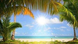 Palm Beach Wallpaper Desktop Image