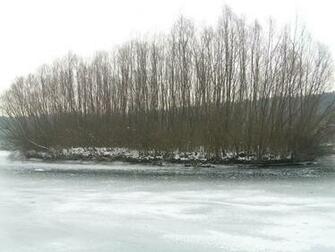 Winter Scene Wallpaper Image And Nature