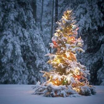 HD Christmas Wallpaper For iPad ImgHD Browse And