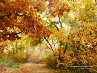 Amazing Nature Wallpaper National Geographic