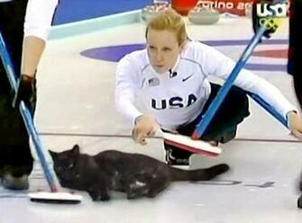 Best Image About Olympics Winter Games Part On