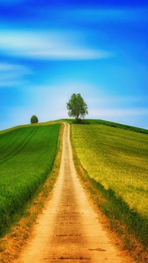 Dirt Road Landscape Sunny Day Blue Sky Tree