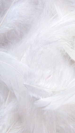 White Aesthetic iPhone Wallpaper