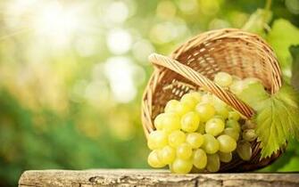 Grapes HD Wallpaper