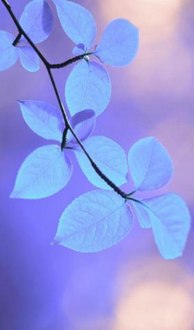 Image About Wallpaper On We Heart It See More
