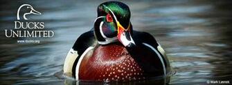 Check Out Ducks Unlimited S Other Social Media Networks