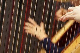 Brown Harp Image