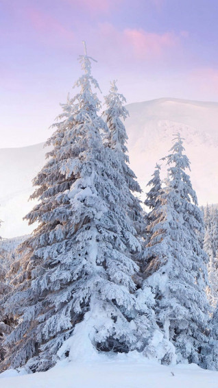 Snow iPhone Wallpaper