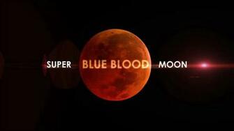 Super Blue Blood Moon Bible Prophecy Predicts End Times Coming