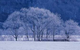 Winter Snow Photos Scenes Wallpaper No